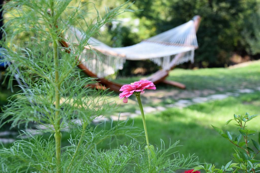 Golden Horn Guest House Iskrets Εξωτερικό φωτογραφία