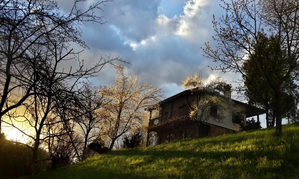 Golden Horn Guest House Iskrets Εξωτερικό φωτογραφία