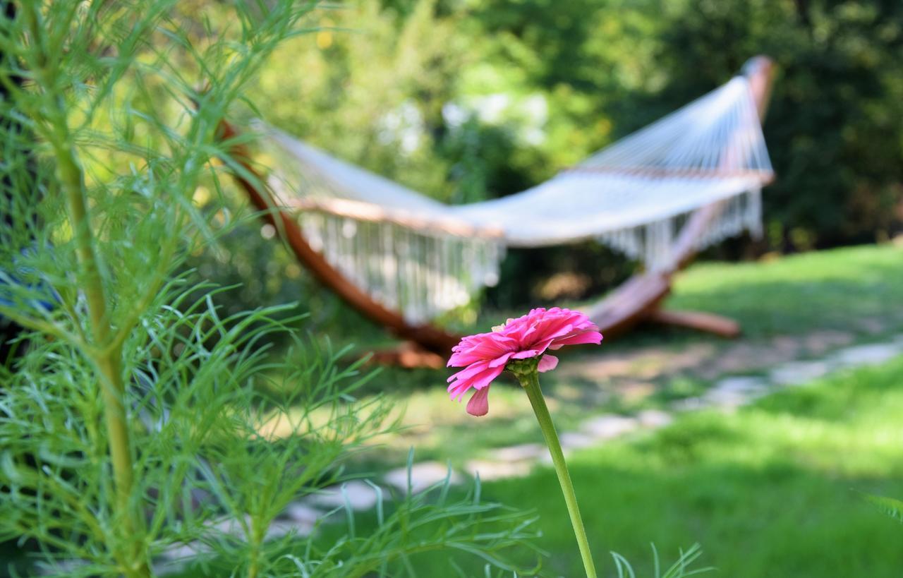 Golden Horn Guest House Iskrets Εξωτερικό φωτογραφία